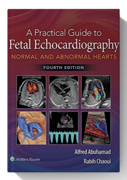 A Practical Guide to Fetal Echocardiography: Normal and Abnormal Hearts 4th Edition