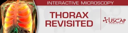 USCAP Thorax Revisited 2026 (Videos + PDFs)