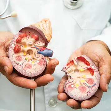 Cleveland Clinic Nephrology Update 2025 (Videos + Slides PDFs)